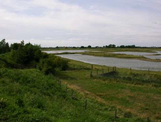 Laguuni