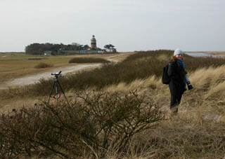 Falsterbo