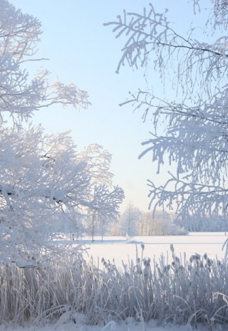 kova pakkanen pakkanen