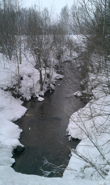 Green Sandpiper place