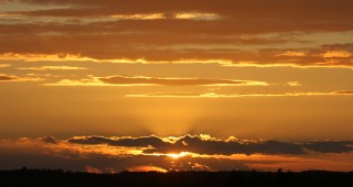 Kurkien iltalennon aikaan sunset, auringonlasku, kurkien iltalento