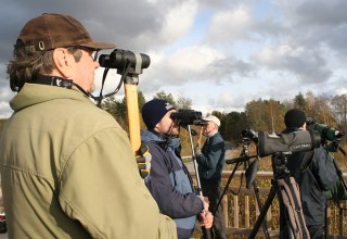 Eurobird-watch, lintukisa, lintuharrastajat