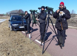 Ainoa rallikuva - tauko paikalla