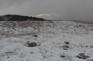 Styrs lumisemmassa maisemassa