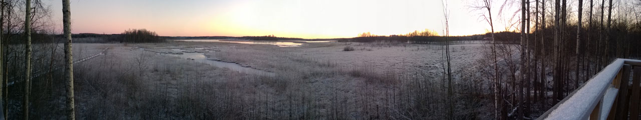 Siikalahti jäätyy