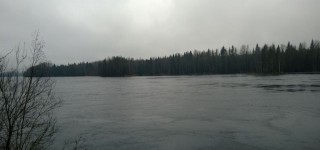 Vuoksea