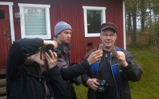 Ruskourpiaista kuvaamassa