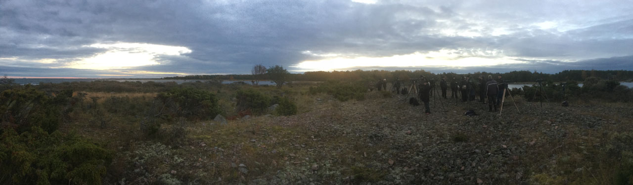 Twitchers in Prakala