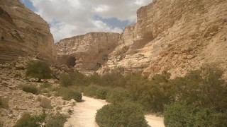 Ben Gurion valley