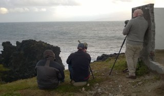 Seawatching